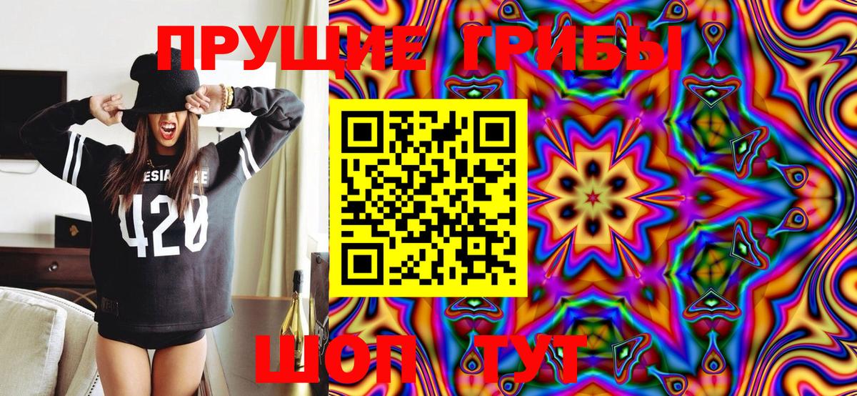 Галлюциногенные грибы Psilocybine cubensis Озёрск