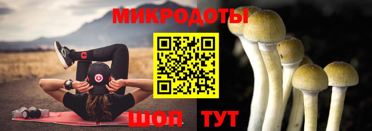 Озёрск  Галлюциногенные грибы Psilocybine cubensis  Вход с VPN 